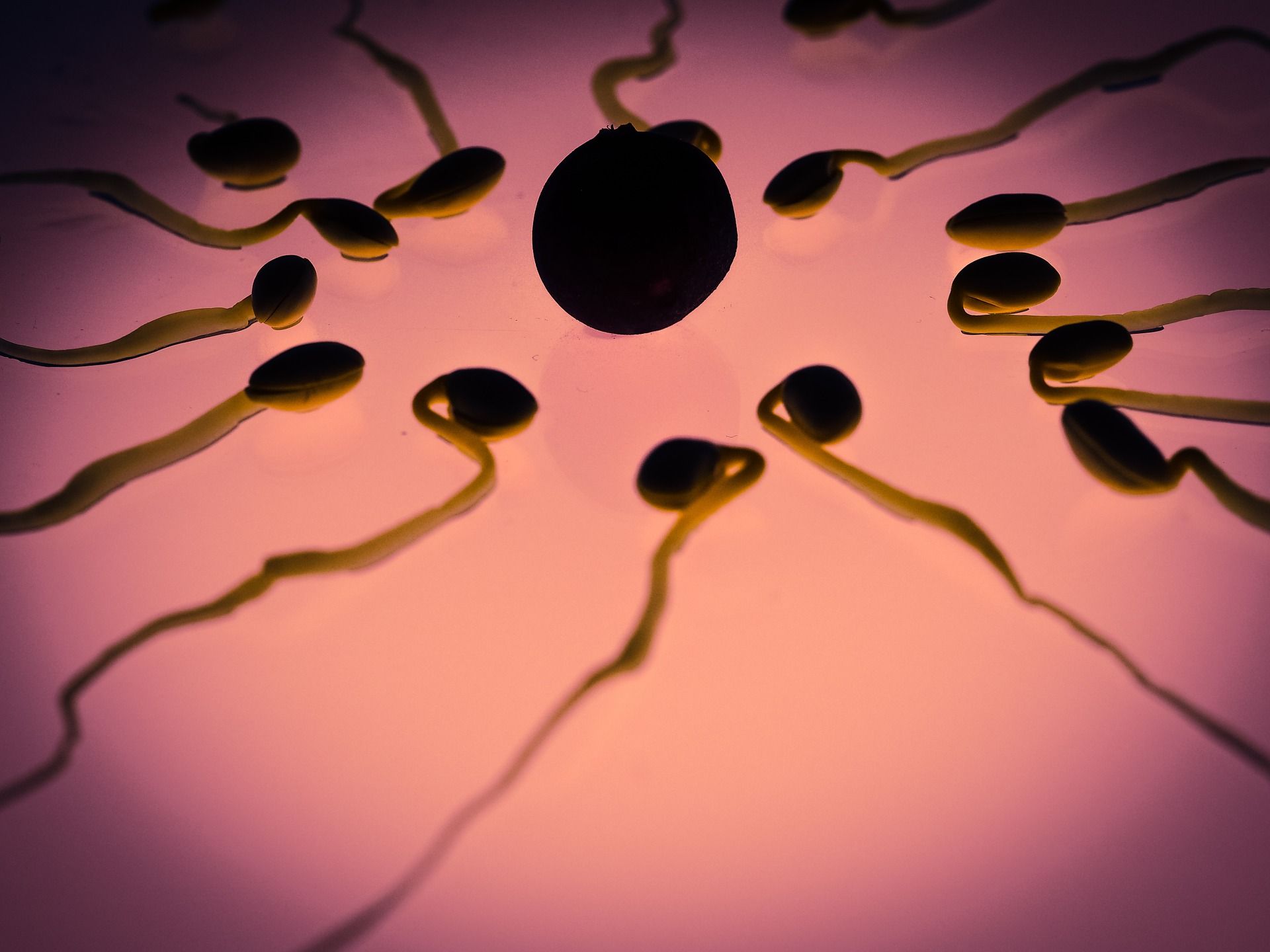Najpouzdaniji je spermogram iz embriološke laboratorije