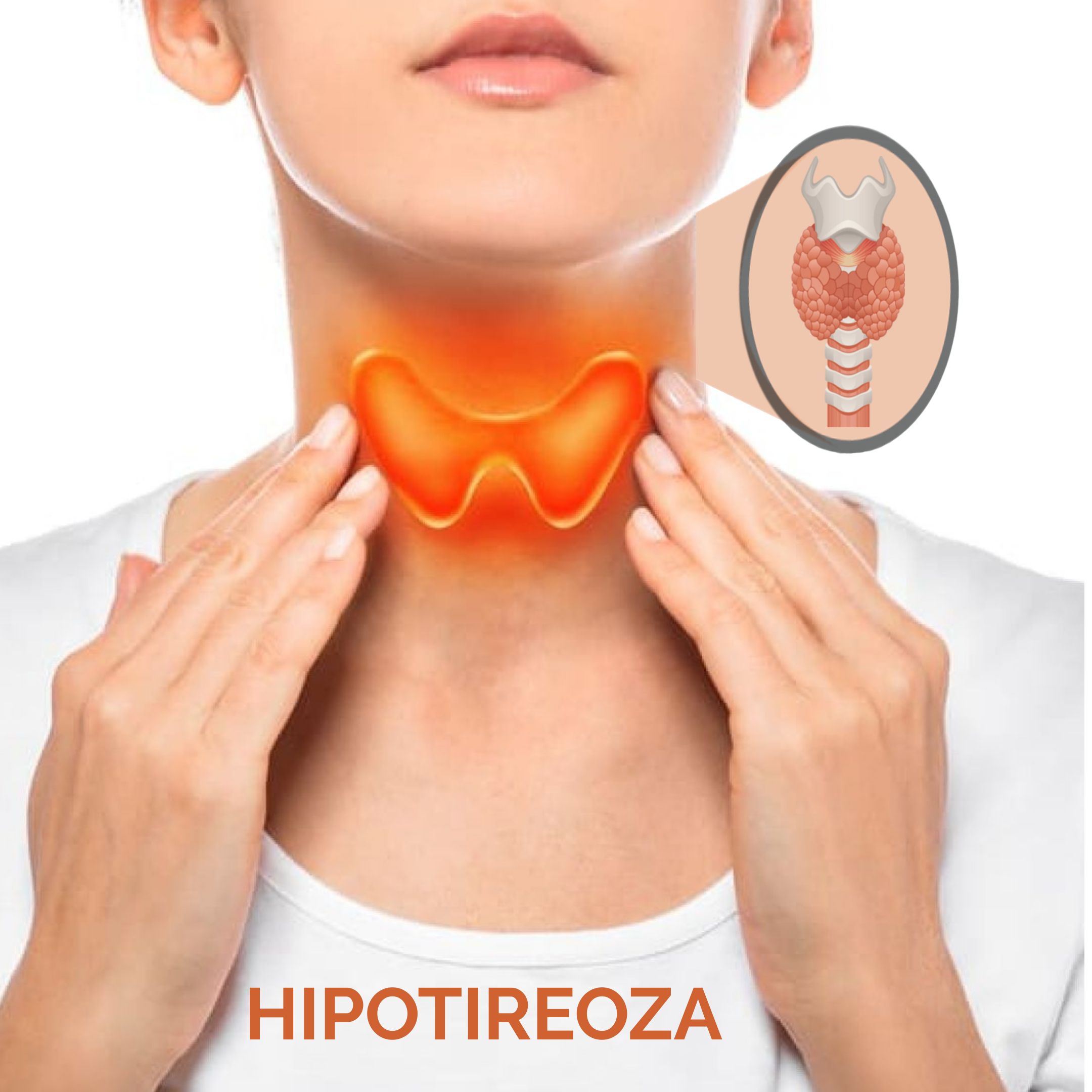Smanjena funkcija štitne žlijezde (hipotireoza) kao uzrok hormonalne neravnoteže